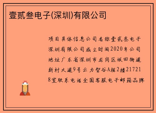 壹贰叁电子(深圳)有限公司